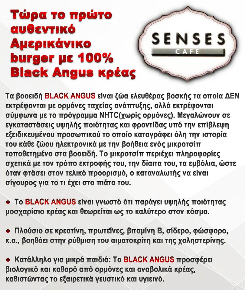 Senses-Black-Angus-1