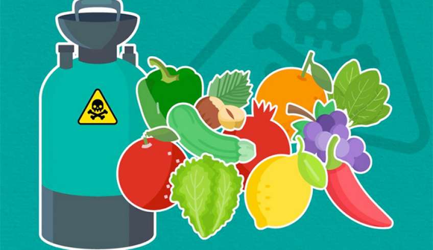 Πόσο καθαρά είναι τα φρούτα και τα λαχανικά που τρώμε; ΔΕΙΤΕ ΤΟ ΒΙΝΤΕΟ