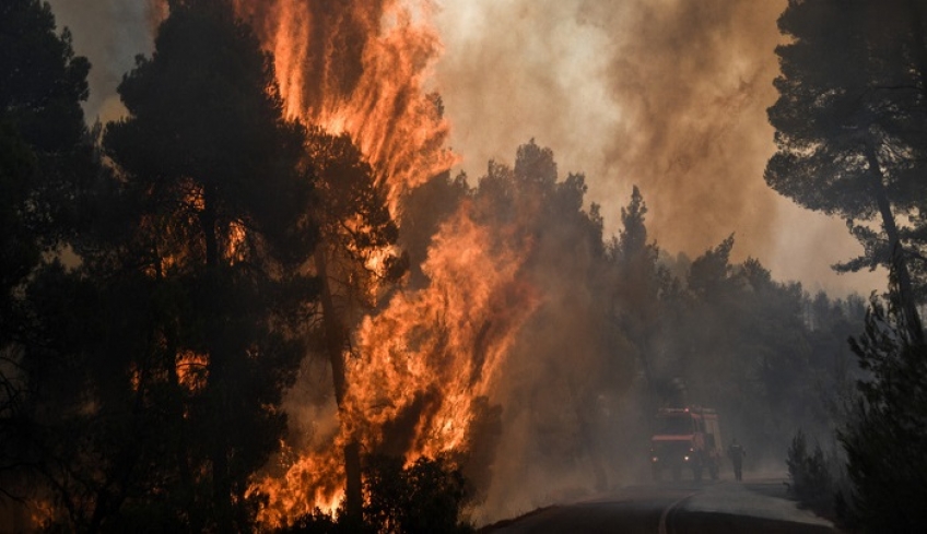 Σε επιφυλακή για τις αναζωπυρώσεις οι πυροσβέστες στην Εύβοια – Τεράστια οικολογική καταστροφή