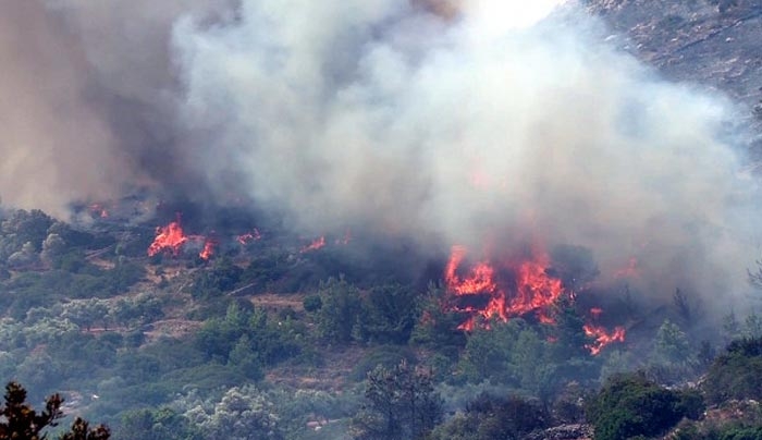 Χίος: Λύνεται το μυστήριο της μεγάλης φωτιάς που κατέκαψε το νησί - Το πόρισμα της πυροσβεστικής!