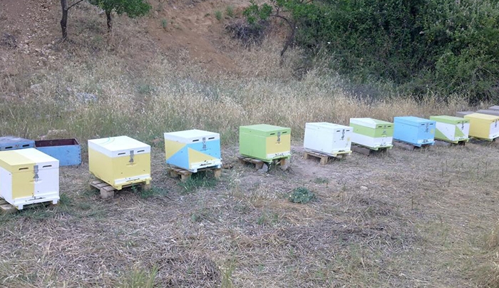 Άγνωστος δράστης αφαίρεσε από αγρόκτημα στο Μαστιχάρι 15 κυψέλες μελισσών