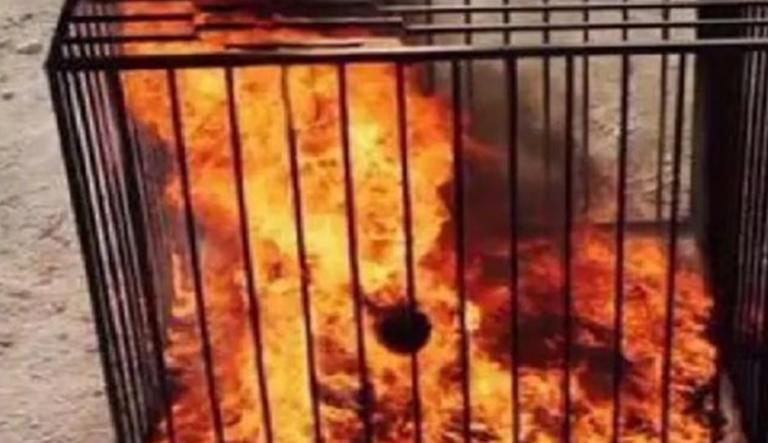 Παγκόσμιο σοκ - Τζιχαντιστές έκαψαν ζωντανό τον Ιορδανό αιχμάλωτο (ΒΙΝΤΕΟ &amp; ΦΩΤΟ)