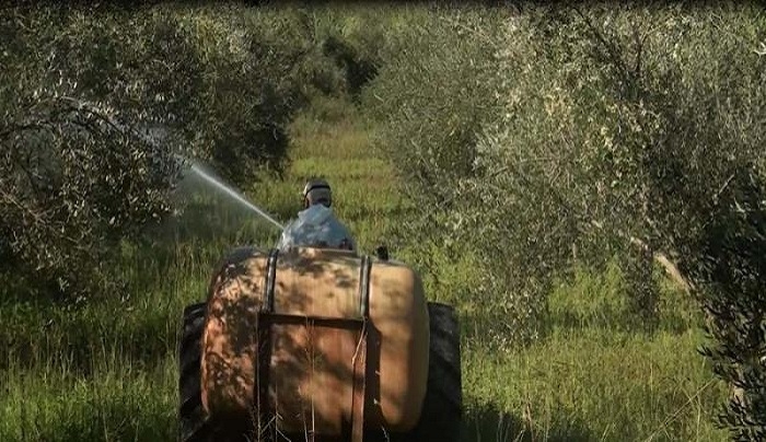 Έναρξη δολωματικών ψεκασμών δακοκτονίας στην Κω