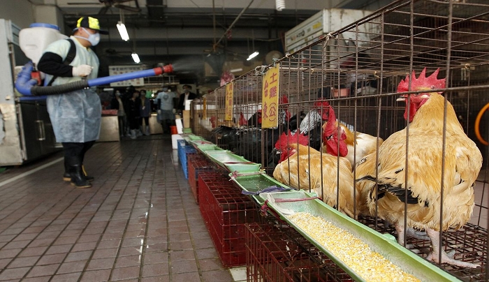 Κίνα: Πρώτο κρούσμα της γρίπης των πτηνών σε άνθρωπο