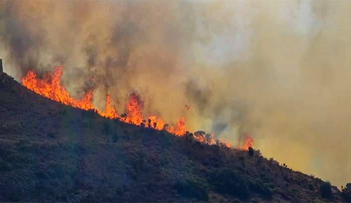 Από σήμερα και για 15 ημέρες αιτήσεις πυρόπληκτων αγροτών Δήμου Κω