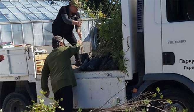 Μεγάλη παραγωγική δραστηριότητα στο περιφερειακό φυτώριο Νοτίου Αιγαίου !