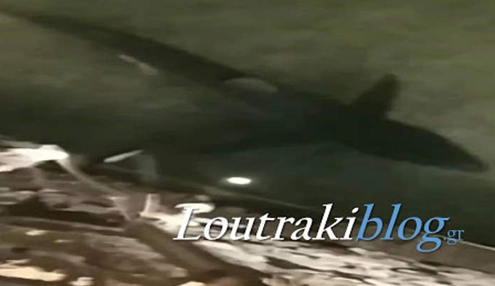 Καρχαρίας δύο μέτρων κόβει βόλτες στο Λουτράκι [βίντεο]