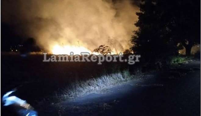 Φωτιά στη Φωκίδα: Καταγγέλλουν εμπρησμό οι κάτοικοι- "Είδαμε μηχανάκι να φεύγει και μετά ξεπήδησαν οι φλόγες" [Βίντεο]