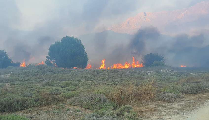 Μεγάλη πυρκαγιά στην Τήλο – Κάηκαν πάνω από 100 στρέμματα