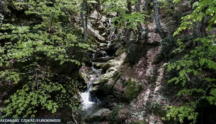Natura: Οπισθεν ολοταχώς υπό το βάρος των αντιδράσεων από το υπουργείο Περιβάλλοντος για τις χρήσεις γης