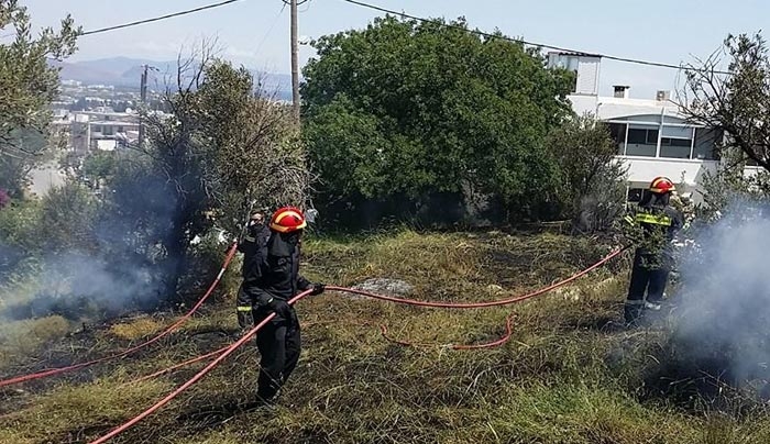 Πυρκαγιά στο Πλατάνι - Κάηκε χορτολιβαδική έκταση (φωτό)