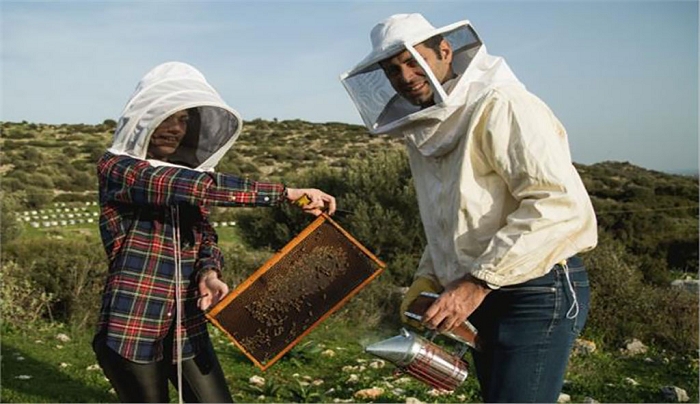 Πρόγραμμα Στήριξης των Μικρών Νησιών του Αιγαίου Πελάγους στον τομέα της Μελισσοκομίας για το έτος 2020