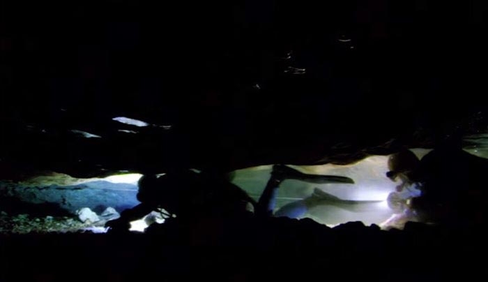 Ανατριχιαστικό βίντεο: Επιστήμονες παγιδεύονται σε υποβρύχια σπηλιά