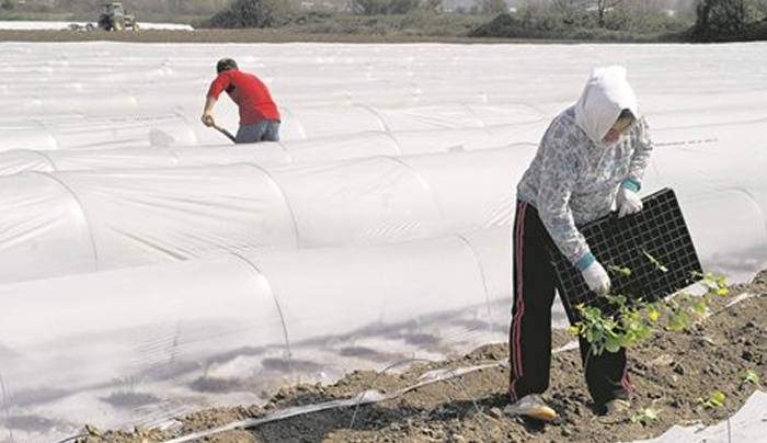 Ραβασάκια με έξτρα φόρους για 620.000 αγρότες