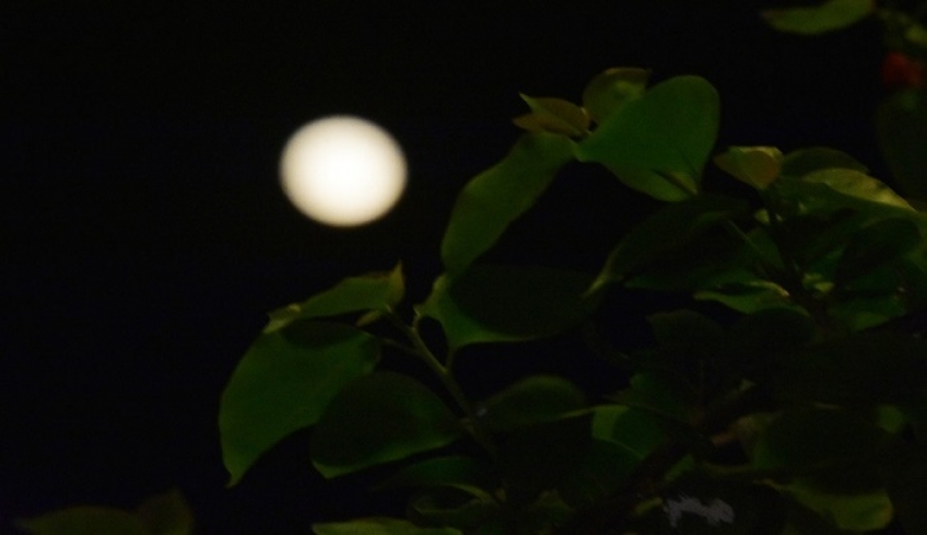 Δεκαπενταύγουστος με πανσέληνο: Γιατί φέτος το φεγγάρι θα είναι μικρότερο