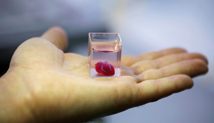 Πρωτότυπο ανθρώπινης καρδιάς 3D εκτύπωσης από ανθρώπινο ιστό τύπωσαν επιστήμονες