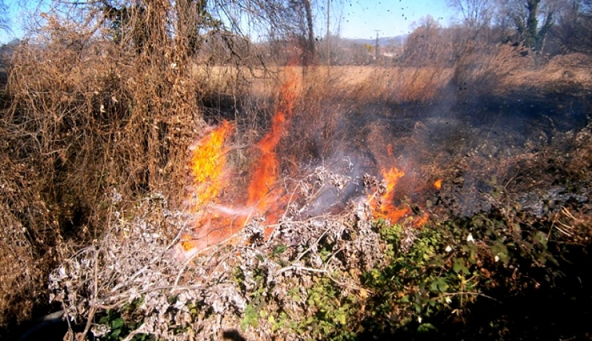 Δέκα στρέμματα χορτολιβαδικής έκτασης με λίγα δέντρα κάηκαν από τη χθεσινή πυρκαγιά στην Κέφαλο