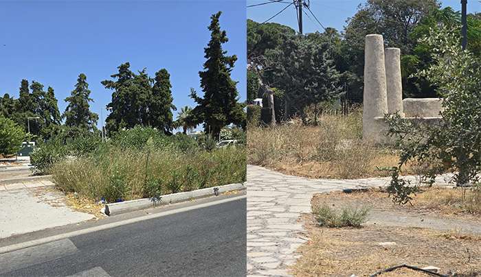 ΔΥΝΑΜΗ ΑΛΛΑΓΗΣ:  ‘’ Μας αξίζει αυτή η Κως;  Πυκνά και ψηλά χόρτα κατακλύζουν τους κοινόχρηστους χώρους του νησιού και το οδικό δίκτυο.’’