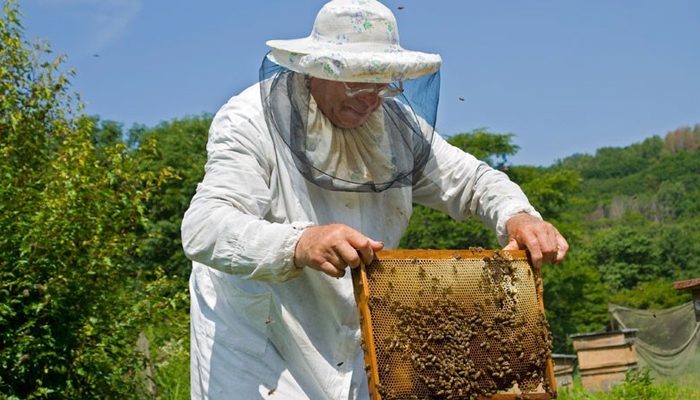 Eνίσχυση μελισσοκόμων στα νησιά του Αιγαίου: Μελισσοκομικός Συνεταιρισμός Κω, 130.032 ευρώ