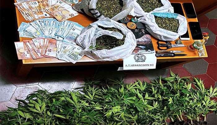 Συνελήφθησαν δύο ημεδαποί  για κατοχή-καλλιέργεια κάνναβης και οπλοκατοχή στην Κω