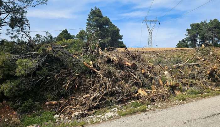 Υποχρεωτικός ο καθαρισμός οικοπέδων από την 1η Απριλίου - Βαριά τα πρόστιμα