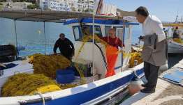 :  «Πρόταση του Μάνου Κόνσολα για στήριξη των αλιέων με επιδότηση στα καύσιμα, ουσιαστική ενεργοποίηση του προγράμματος για τον λαγοκέφαλο και καταπολέμηση της παράνομης αλιευτικής δραστηριότητας»