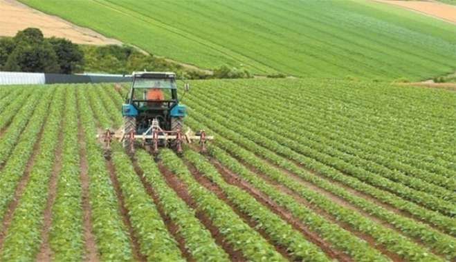 ΟΣΔΕ 2025: Αλλαγές στις ενισχύσεις – Τι να προσέξετε στην αίτηση