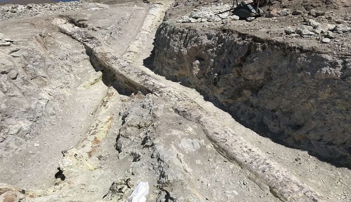 Δυο γιγάντιοι κορμοί απολιθωμένων δένδρων ανακαλύφθηκαν στο Σιγρί Λέσβου