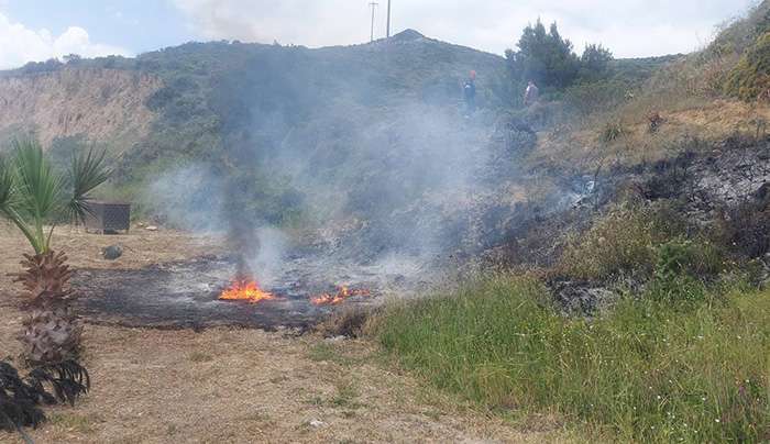 Άμεση επέμβαση της Πυροσβεστικής Υπηρεσίας σε πυρκαγιά στην Καρδάμαινα – Επιβλήθηκε πρόστιμο για μη τήρηση μέτρων πρόληψης
