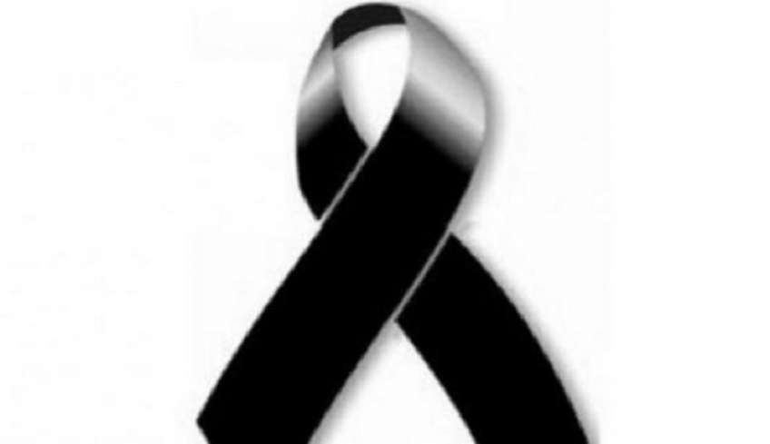 ΝΕ ΣΥΡΙΖΑ-ΠΣ Β. Δωδεκανήσου: Συλλυπητήρια για τον θάνατο της μητέρας του Μ. Καβαδάκη