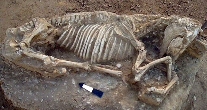 Τμήμα αρχαϊκής νεκρόπολης αποκαλύφθηκε στη Χίο