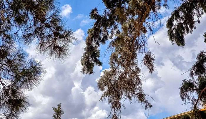 Καιρός σήμερα: Άνεμοι 7 μποφόρ στο Αιγαίο και 35αρια στα ηπειρωτικά