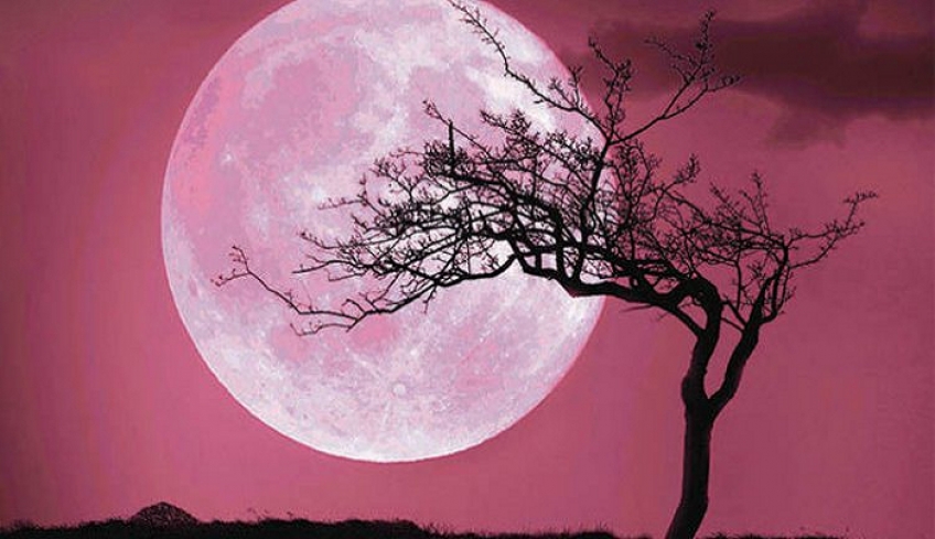 Ροζ πανσέληνος: Σήμερα το πρώτο φωτεινό φεγγάρι της Ανοιξης - Τι ώρα θα είναι ορατό