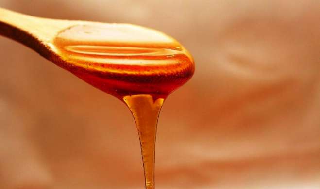 Μέλι: Μειωμένη έως και 70% η φετινή παραγωγή - Τι ζητούν οι μελισσοκόμοι