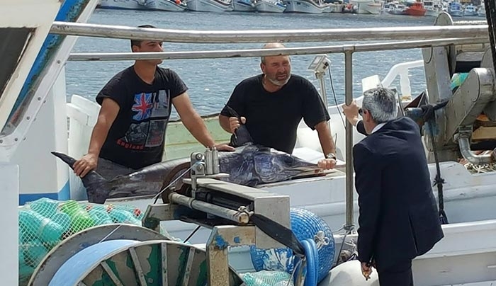 Σε νησιά της Δωδεκανήσου περιοδεύει ο Περιφερειάρχης Γιώργος Χατζημάρκος (Φωτό)