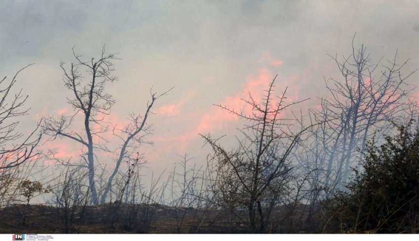 Φωτιά στον Έβρο: Συνεχίζουν για 13η μέρα το καταστροφικό τους έργο οι φλόγες – Καλύτερη η κατάσταση στα Φάρσαλα