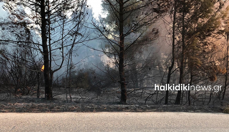 Ανεξέλεγκτη η φωτιά στη Χαλκιδική - Οικισμοί χωρίς ρεύμα και τηλέφωνο, κλειστοί δρόμοι - ΦΩΤΟ - ΒΙΝΤΕΟ