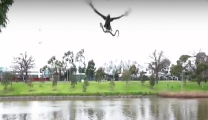 Viral! Γεράκι πετά ολοζώντανο φονικό φίδι πάνω σε ανθρώπους την ώρα που τρώνε! (Βίντεο)