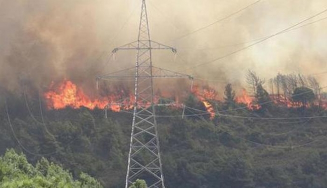 Πύρινος εφιάλτης στην Κύπρο - Νεκρός και 2ος δασοπυροσβέστης