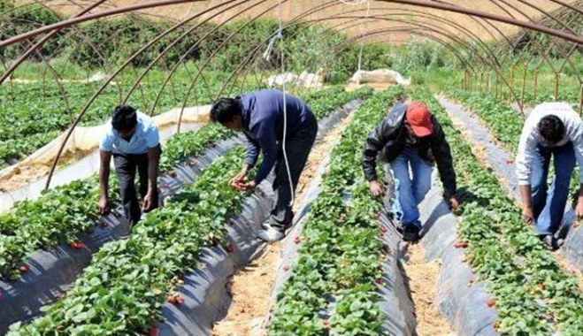 Την «πλήρωσε» ακριβά την… Μανωλάδα η Ελλάδα!-Καταδίκη-κόλαφος