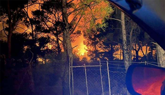 Φωτιά στη Ρόδο: Ολονύχτια μάχη με τις φλόγες - Επιχείρησαν εναέρια το πρωί