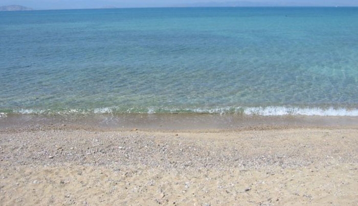 ΤΡΟΜΑΚΤΙΚΟ – Δείτε τι… πλάσμα ξεβράστηκε σε παραλία της Κρήτης! (Φωτό)