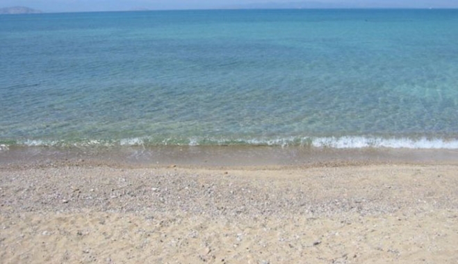 ΤΡΟΜΑΚΤΙΚΟ – Δείτε τι… πλάσμα ξεβράστηκε σε παραλία της Κρήτης! (Φωτό)