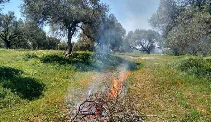 Προσοχή στην καύση προϊόντων κλαδέματος – Θελλώδεις άνεμοι από 25/2 ως και 1/3