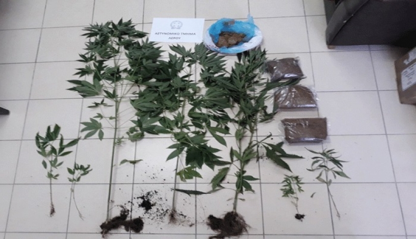 Αστυνομική επιχείρηση πραγματοποιήθηκε στη Λέρο για την καταπολέμηση της διάδοσης των ναρκωτικών