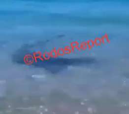 Ρόδος: Απίστευτο βίντεο με καρχαρία να &quot;σουλατσάρει&quot; στο ένα μέτρο από τη στεριά