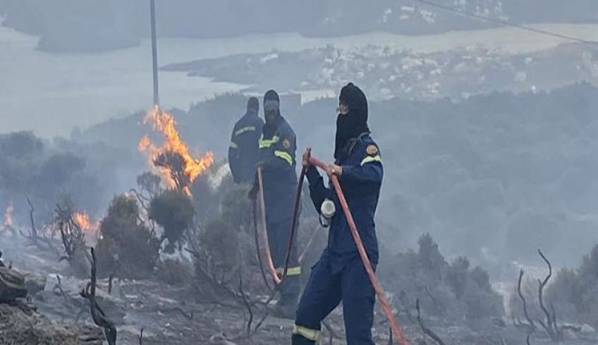 Φωτιές: Μάχη δίνουν οι πυροσβέστες με τις φλόγες στην Άνδρο - Αναζωπυρώσεις σε Έβρο, Βοιωτία, Πάρνηθα