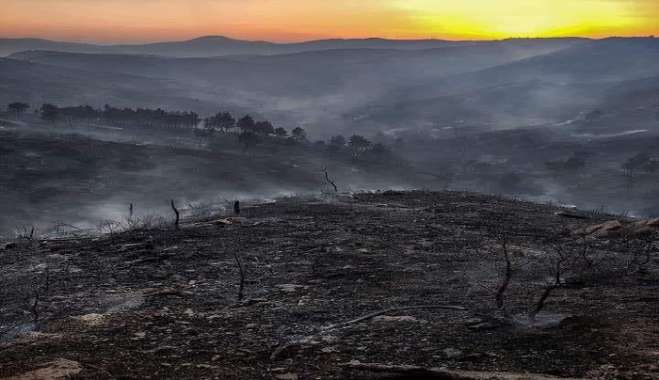 Κόλαση: Εκτός ελέγχου η φωτιά – Καίγονται σπίτια στα Λάερμα – Στις φλόγες ξενοδοχεία και καταστήματα στο Κιοτάρι- Εκκενώνονται Πεύκοι, Λίνδος και Κάλαθος