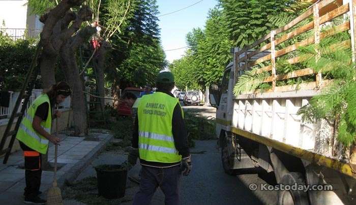 Δήμος Κω: Εργασίες κλάδευσης στην Γρηγορίου Ε΄