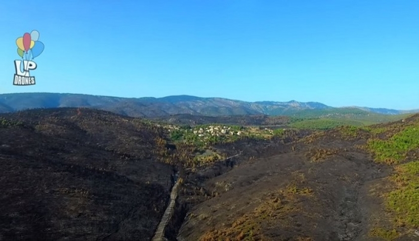 Συγκλονιστικό ΒΙΝΤΕΟ από drone: Οι πληγείσες περιοχές από την πυρκαγιά στην Εύβοια